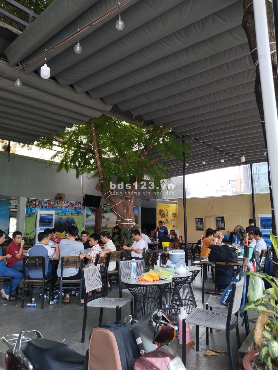 Cho thuê quán hoặc mặt bằng kinh doanh tự do
