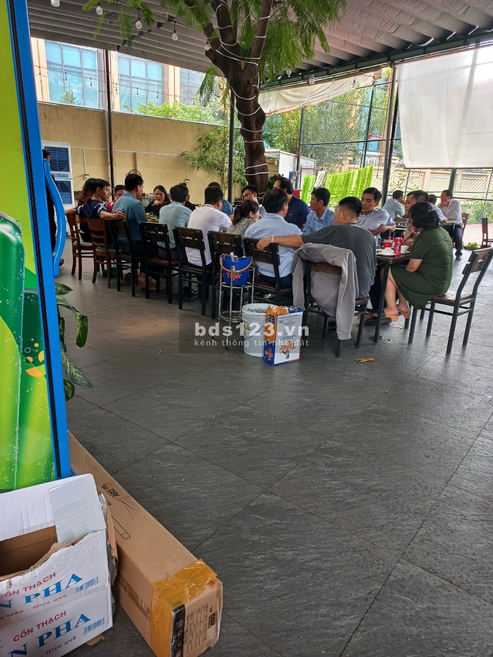 Cho thuê quán hoặc mặt bằng kinh doanh tự do