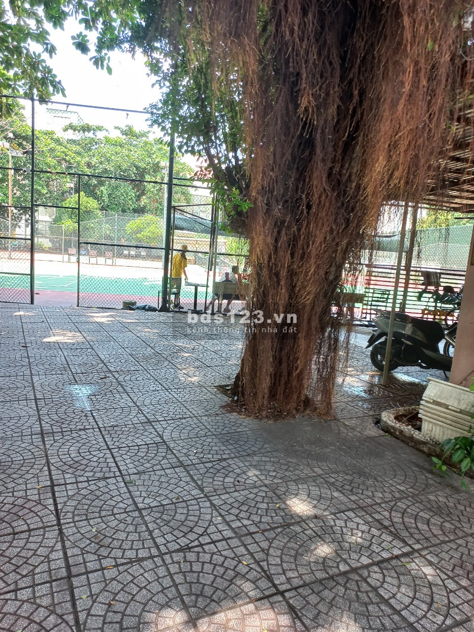Cho thuê quán hoặc mặt bằng kinh doanh tự do