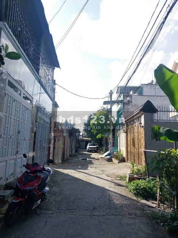 Chính chủ cắt lỗ bán gấp 156m2 đất full thổ cư nằm tại thới Tam Thôn, Hóc Môn .