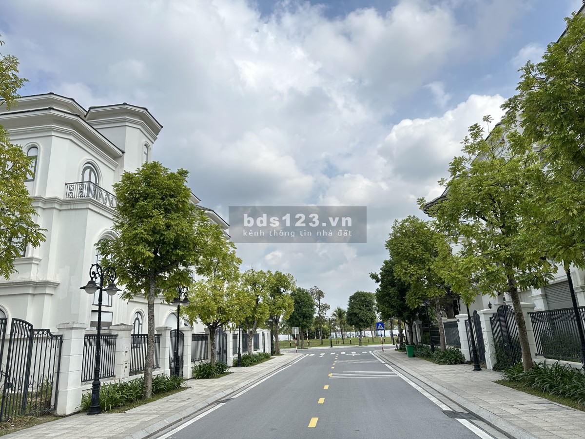 Chính chủ gửi bán Biệt Thự Đơn Lập Ngọc Trai 11 diện tích 288m2 giá tốt nhất Vinhomes Ocean Park