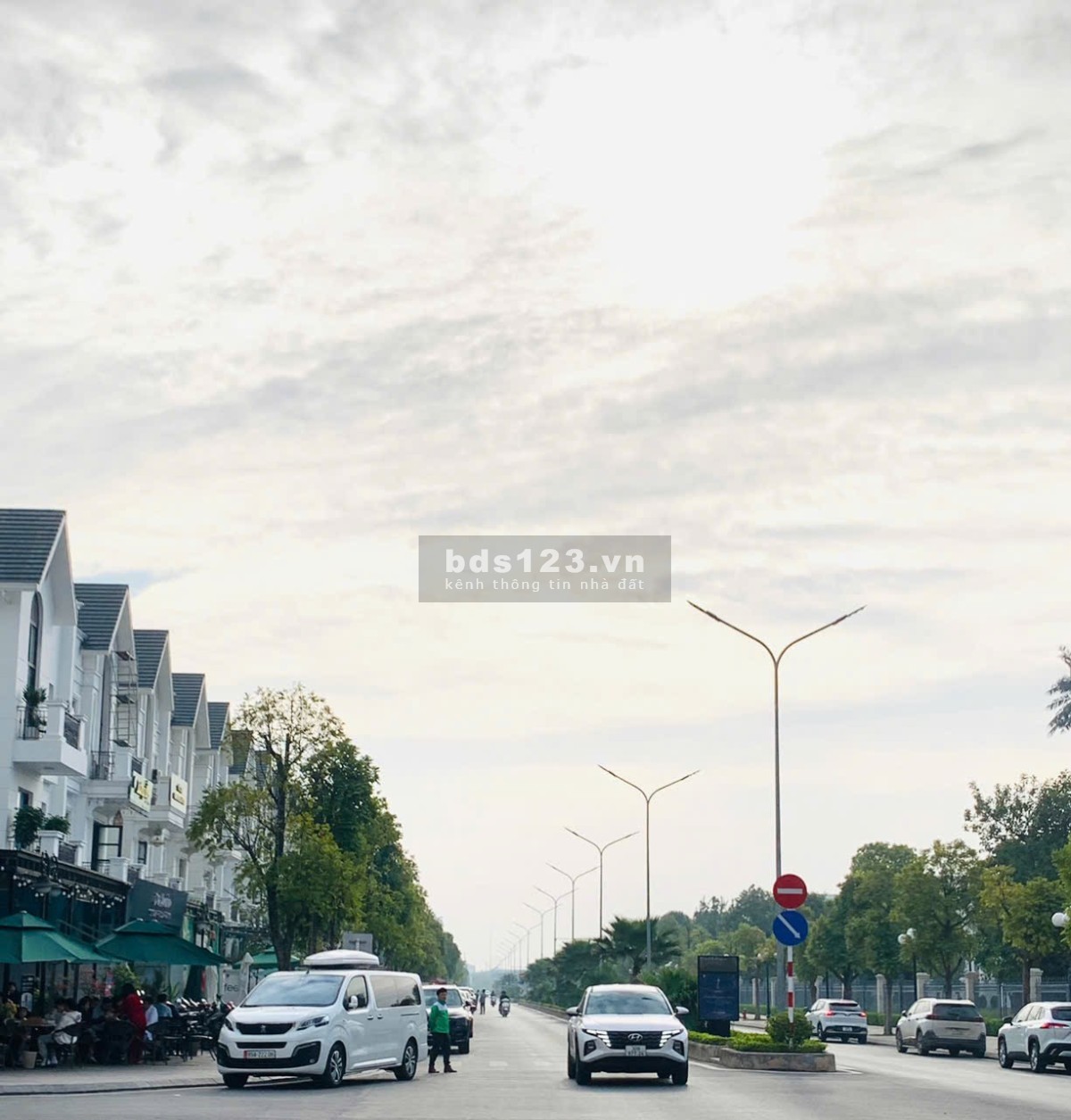 Biệt thự Song Lập Shophouse Sổ Lâu Dài San Hô 6-11x- Vinhomes Ocean Park Gia Lâm giá 35 tỷ