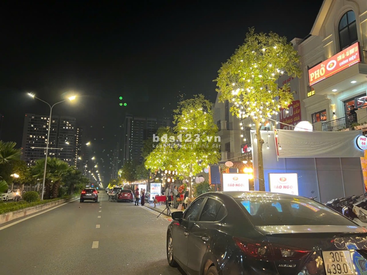 Biệt thự Song Lập Shophouse Sổ Lâu Dài San Hô 6-11x- Vinhomes Ocean Park Gia Lâm giá 35 tỷ