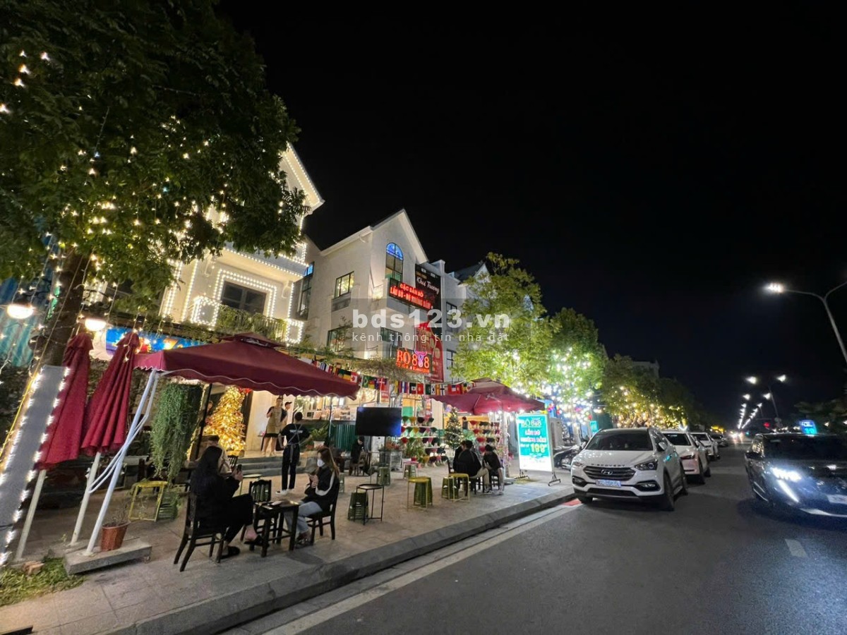 Biệt thự Song Lập Shophouse Sổ Lâu Dài San Hô 6-11x- Vinhomes Ocean Park Gia Lâm giá 35 tỷ