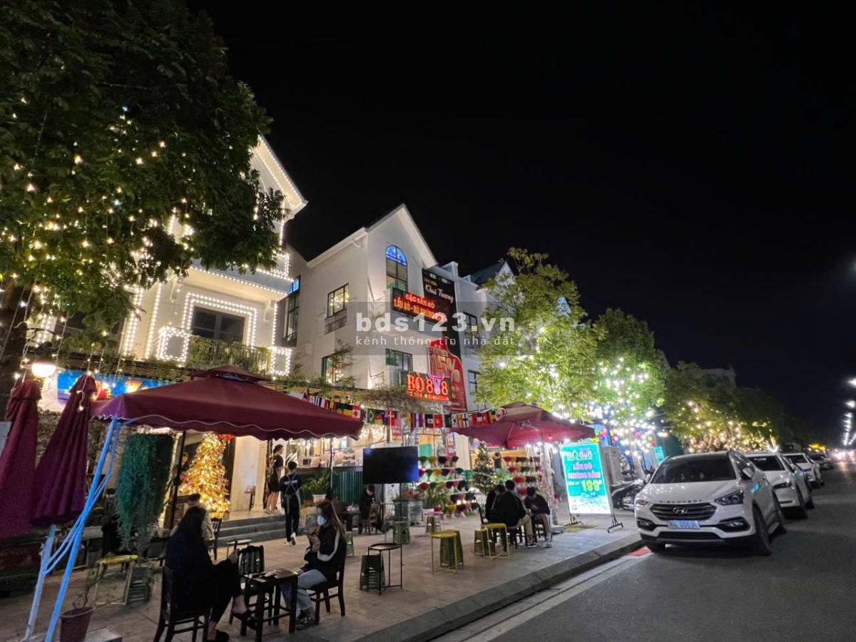 Biệt thự Song Lập Shophouse Sổ Lâu Dài San Hô 6-11x- Vinhomes Ocean Park Gia Lâm giá 35 tỷ
