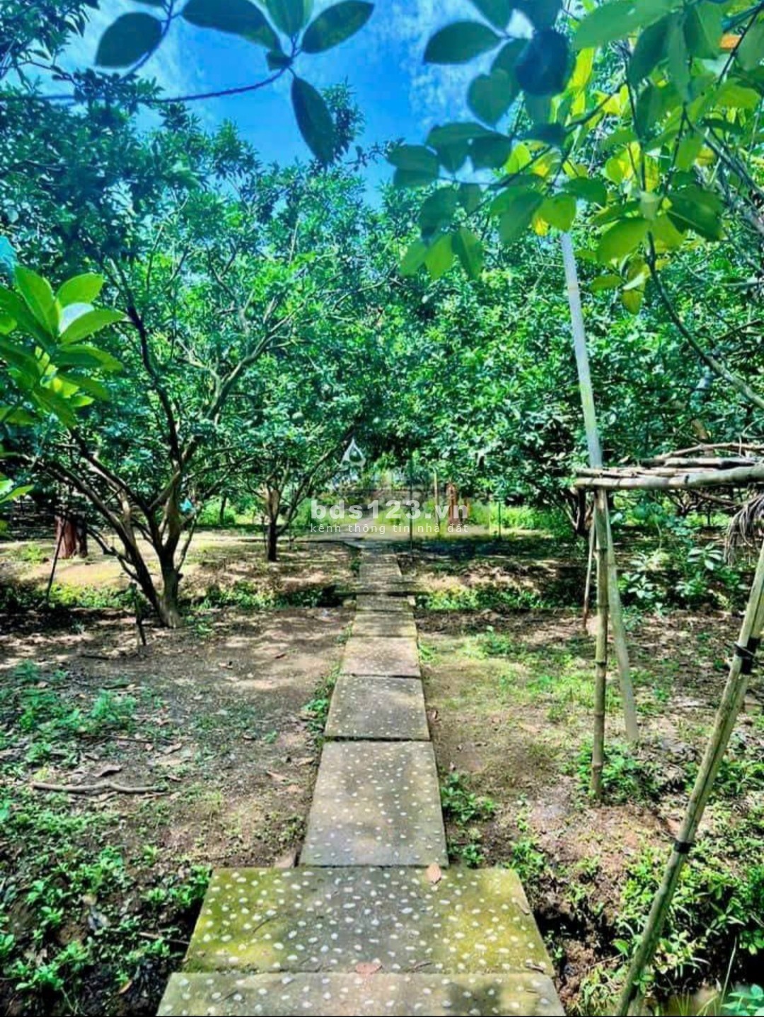bán đất vườn, sổ sẵn, đường nhựa 10m, đầy đủ tiện ích