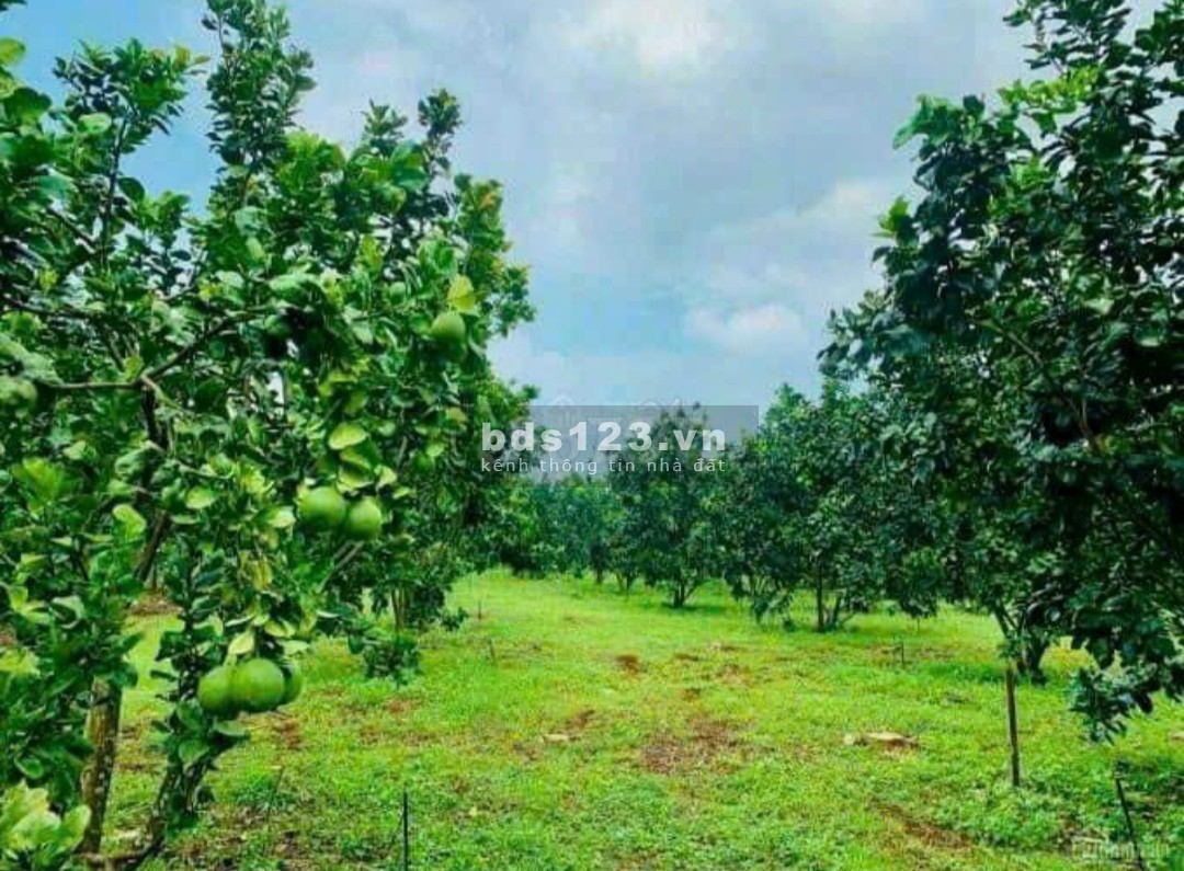 bán đất vườn, sổ sẵn, đường nhựa 10m, đầy đủ tiện ích