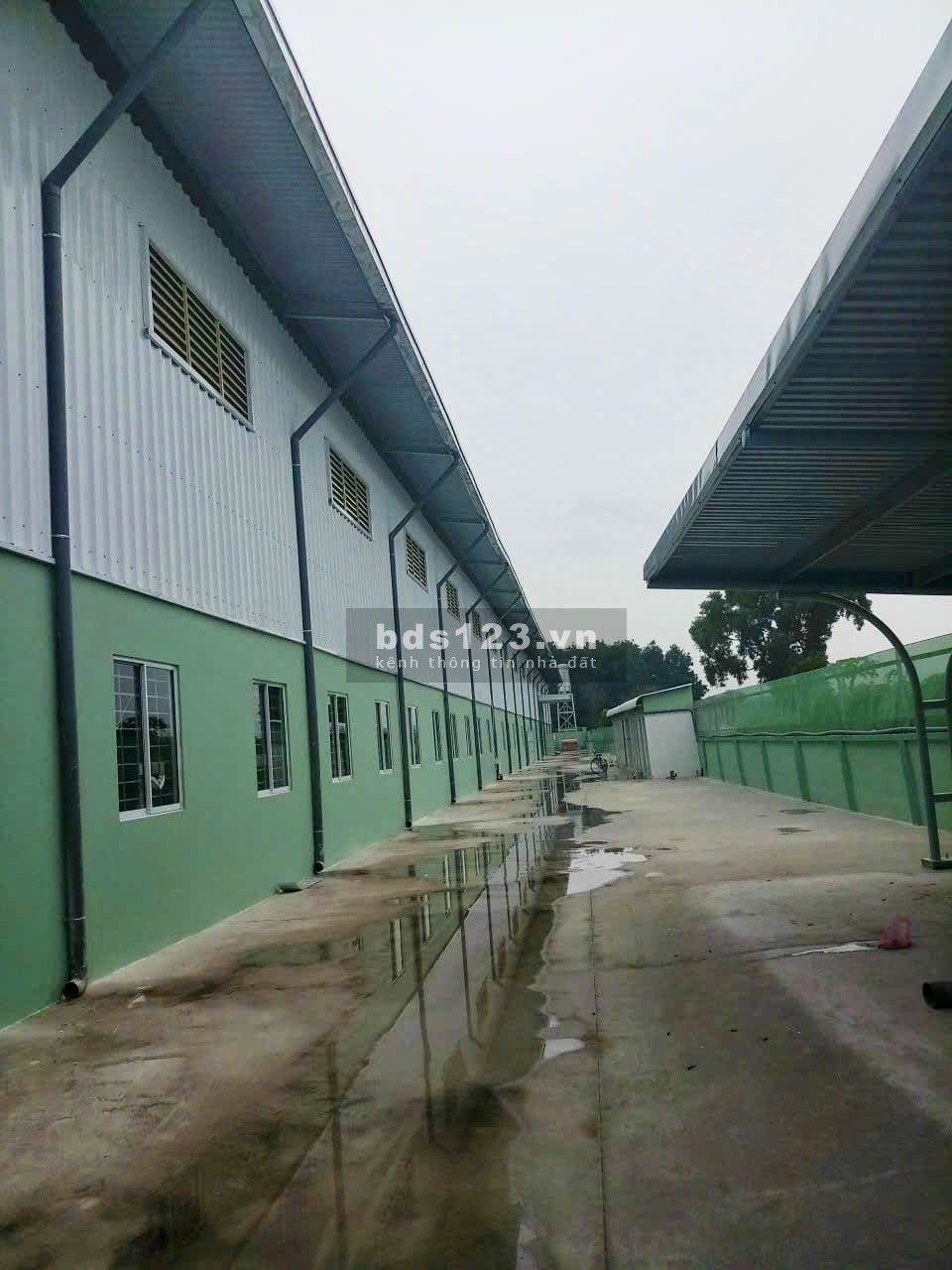Cho thuê kho xưởng sản xuất tại Thuận An, Bình Dương