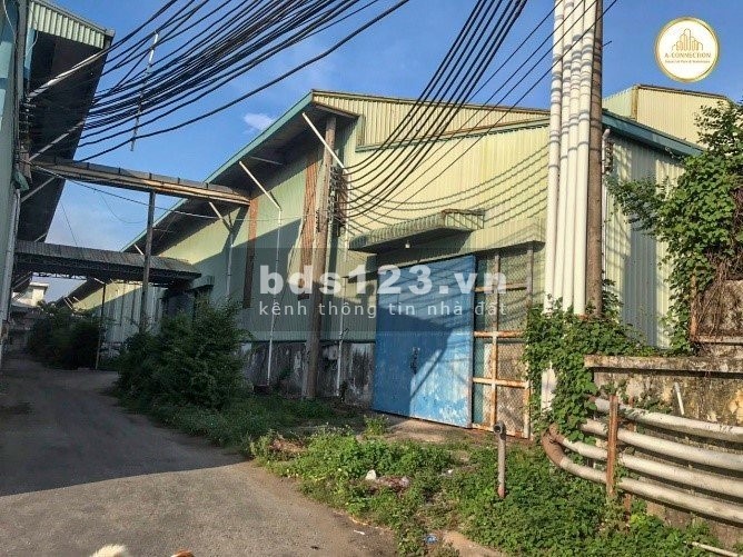 Cho thuê kho xưởng giáp sông Hậu, gần Quốc lộ 91, Quận Thốt Nốt, TP. Cần Thơ.