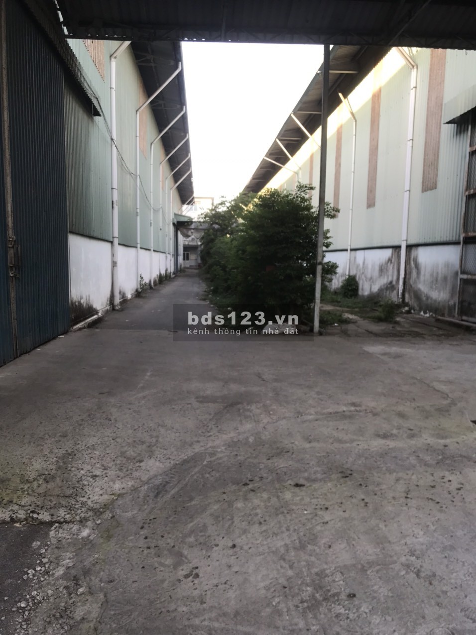 Cho thuê kho xưởng giáp sông Hậu, gần Quốc lộ 91, Quận Thốt Nốt, TP. Cần Thơ.