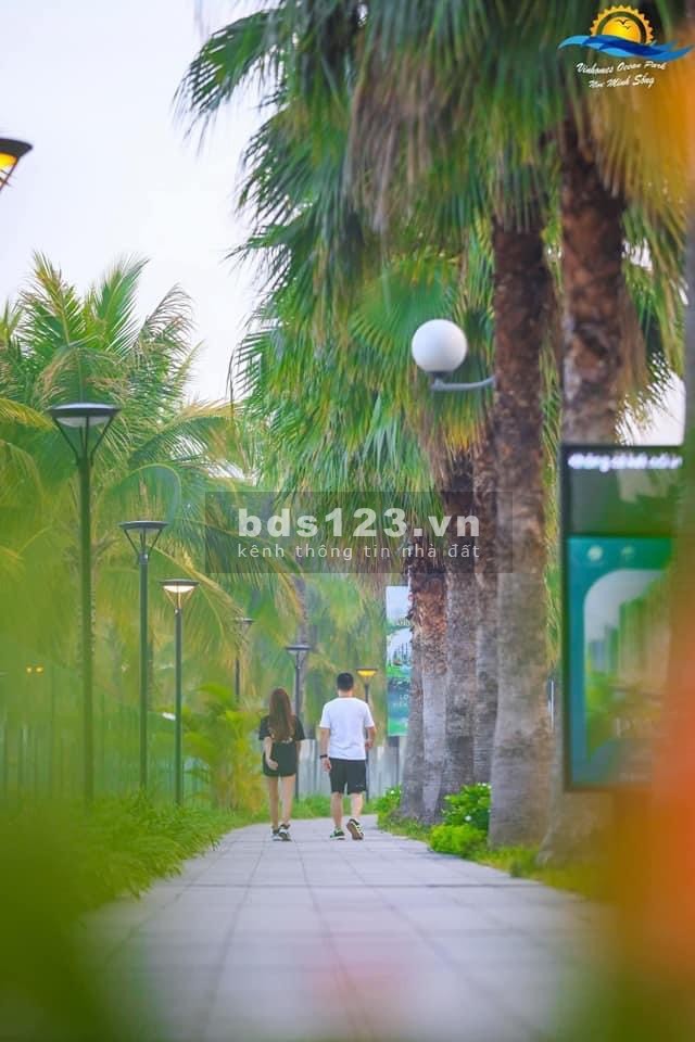 Chỉ 980 triệu sở hữu ngay căn studio tầng trung view thoáng tại Vinhomes Ocean Park