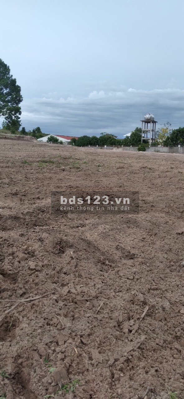 Chính chủ cần bán lô đất mặt tiền quốc lộ 1A Sông Lũy Bắc Bình Bình Thuận
