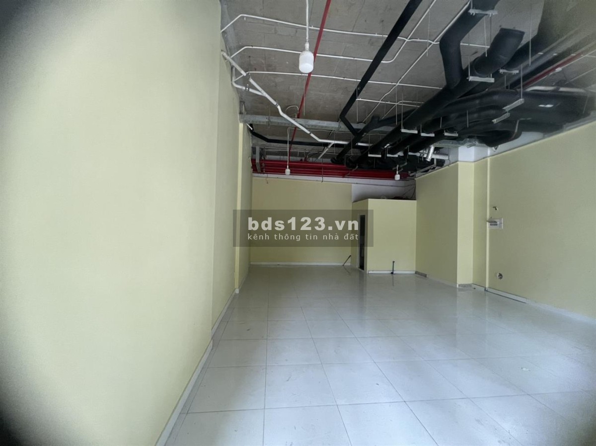 Cho thuê shophouse 57m2 hoàn thiện chỉ 18 triệu tại Vinhomes Quận 9