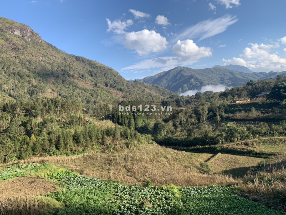 Đất nền Sapa thích hợp đón sóng cao tốc Hà Nội Lào Cai Sapa