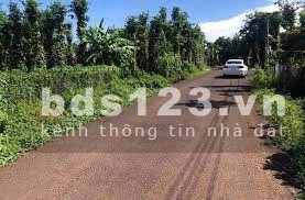 Chính chủ cần bán gấp lô đất giá ngộp ở trục đường chính Bà Rịa - Châu Pha