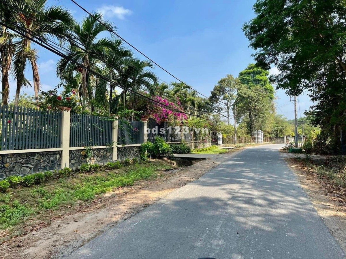 Bán gấp vườn mít 1300m2 giá 430 triệu