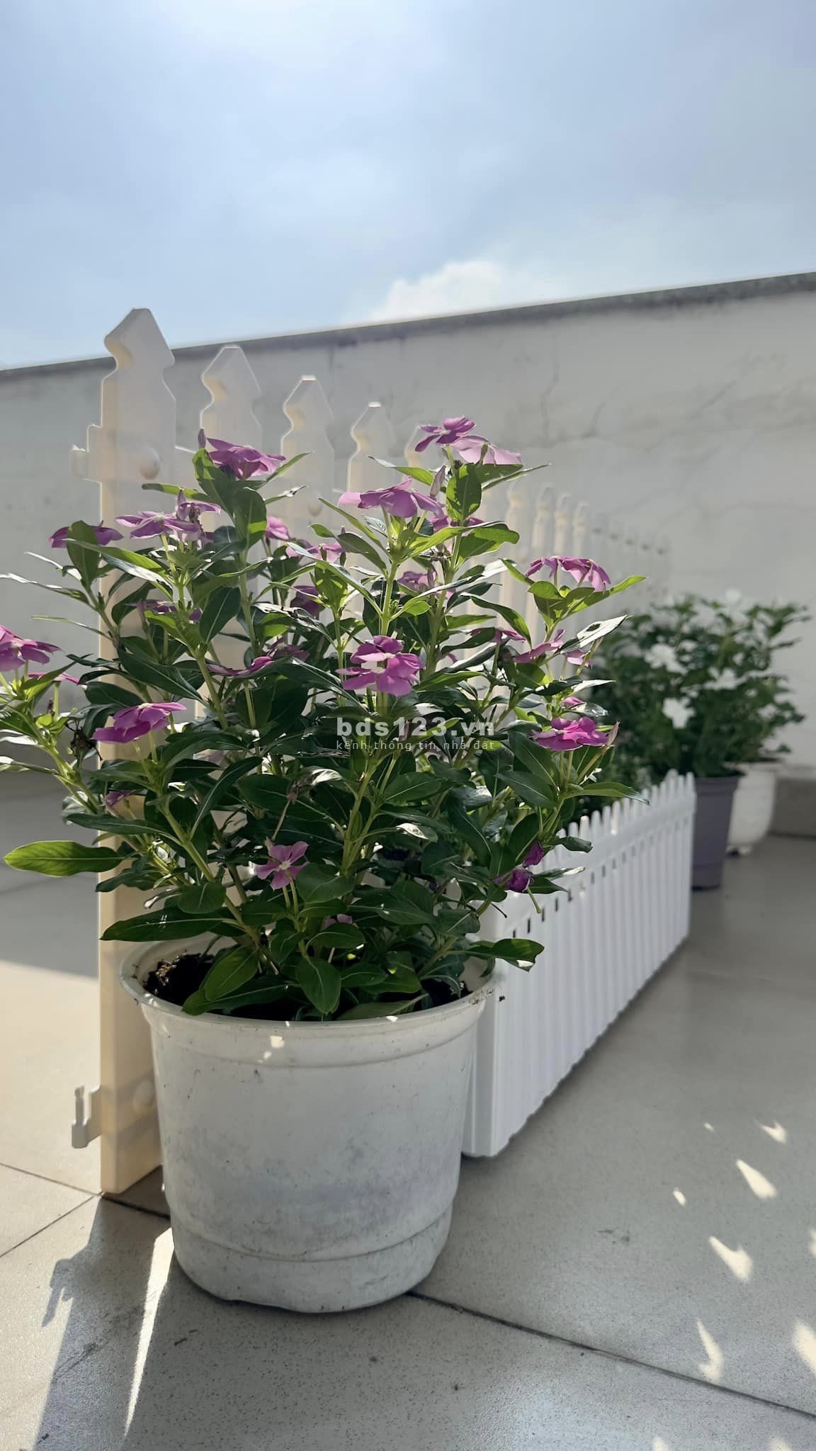 Cho thuê phòng ở 1-2 người tầng 4 thoáng view đẹp Dương Quảng Hàm p5 Gò Vấp
