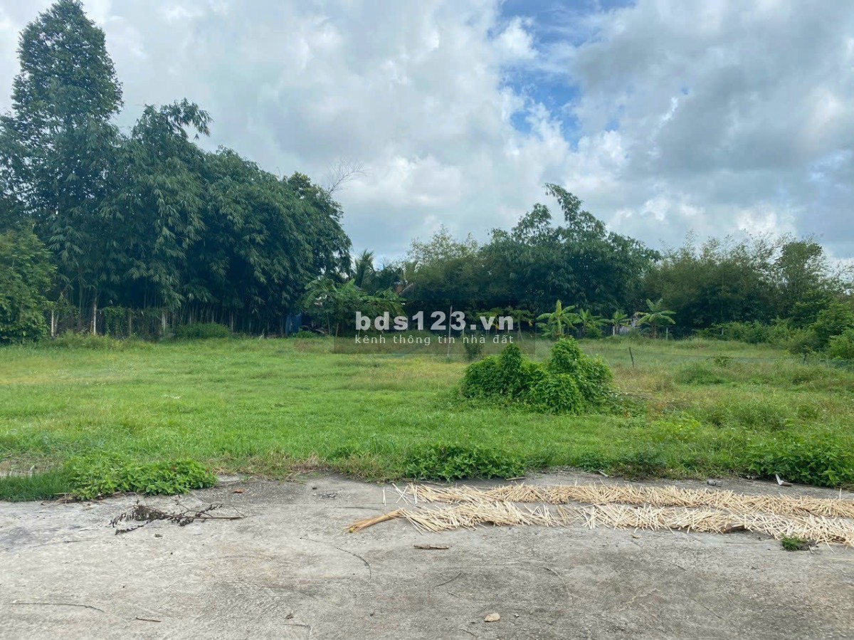 Cần bán lô đất vườn 443m có 200m thổ cư 1/ QL22 giá 1 ty450 Củ Chi