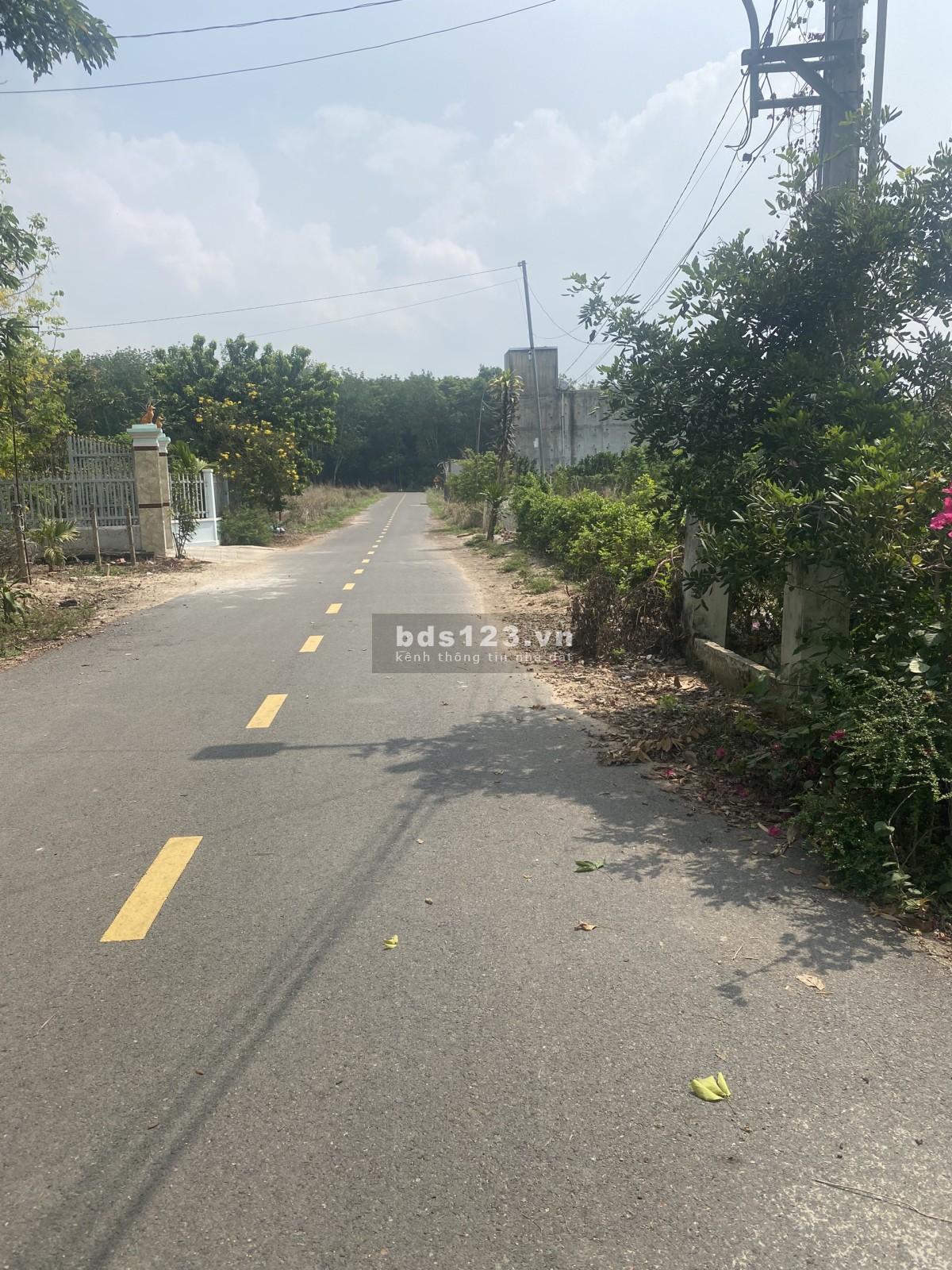 Bán vườn bưởi 350 triệu/1000m2