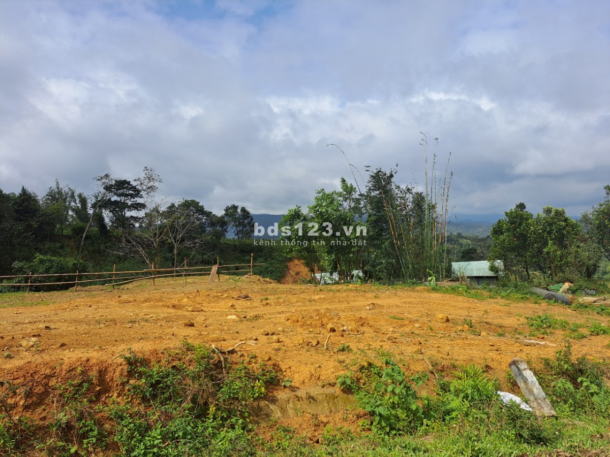 Chính chủ cần bán đất Măng Đen - Kon Tum