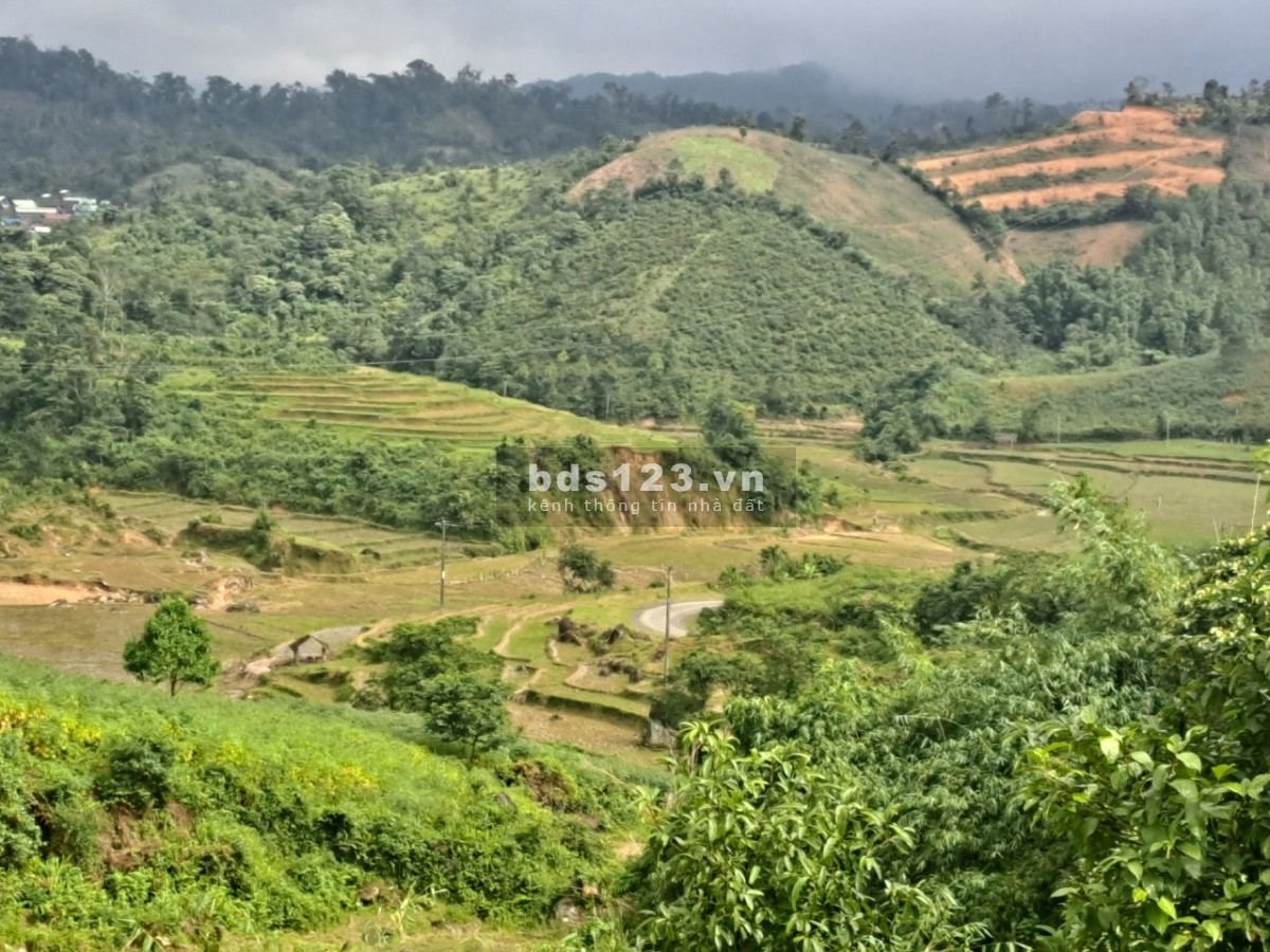 Chính chủ cần bán đất Măng Đen - Kon Tum