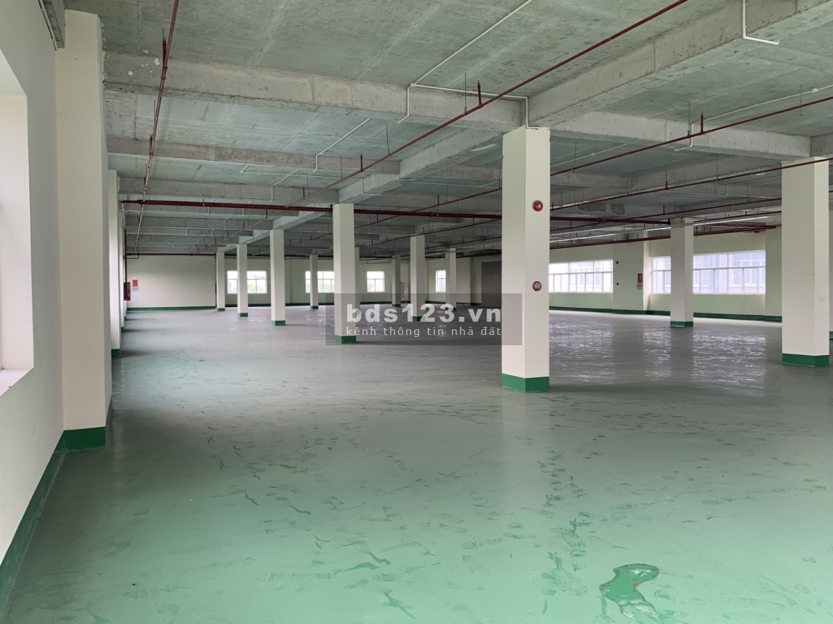 Công ty cần cho thuê nhà xưởng cao tầng (tổng diện tích hơn 2700 m2).