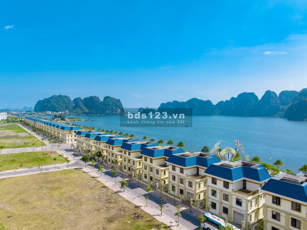 Cần bán gấp 5 lô cắt lỗ sâu view biển Vịnh Bái Tử Long dự án Green Dragon City vị trí đẹp nhất