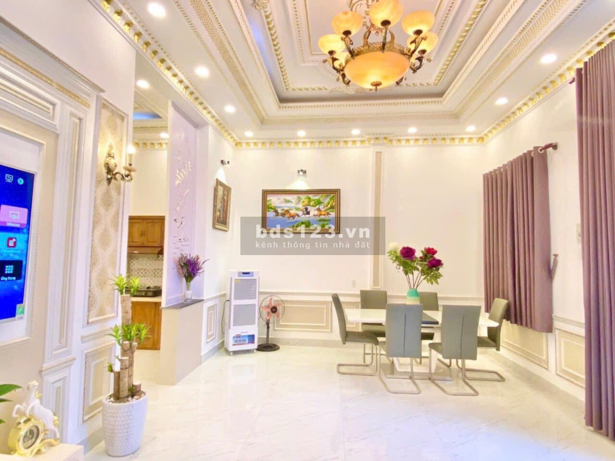 Cho thuê nhà dạng biệt thự mini hẻm Huỳnh Tấn Phát Q7