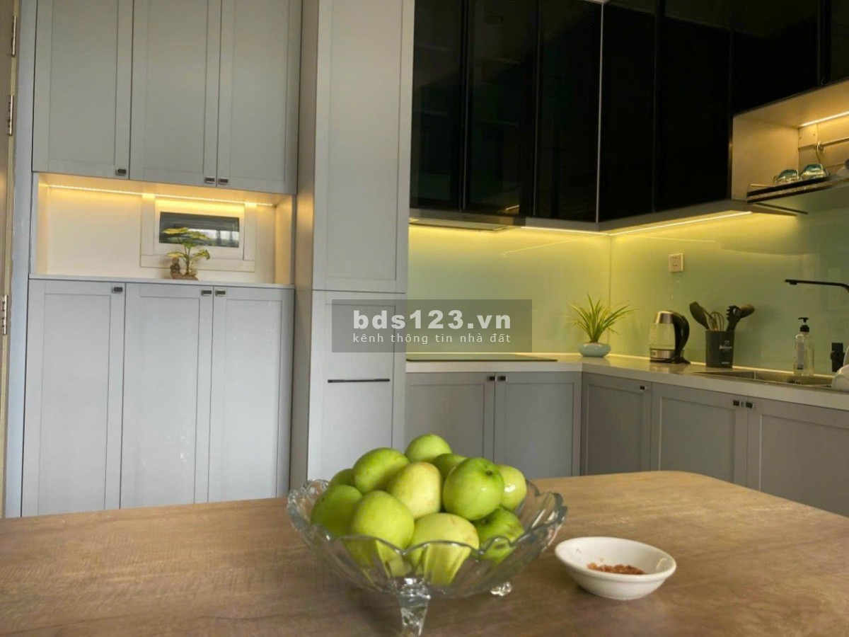 Cho thuê căn hộ 2 phòng ngủ full nội thất Vinhomes quận 9