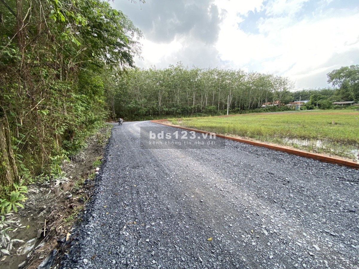 Đất mặt tiền đường lộ nhựa 187.3m2, giá 350 triệu