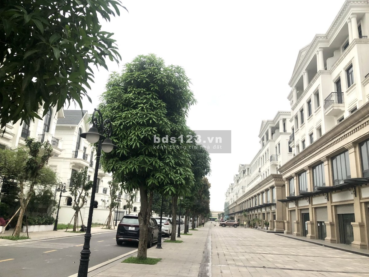 Bán biệt thự song lập Hải Âu 3 đối diện khu phố chợ đêm tại Vinhomes Ocean Park Gia Lâm 23,x tỷ bp