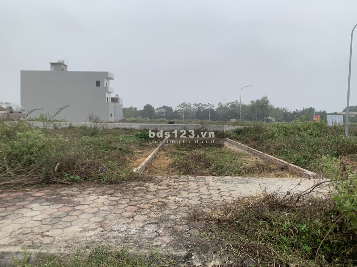 Ra mắt lô đất 50m2 cực hiếm phù hợp đầu tư tại tái định cư Bình Yên.