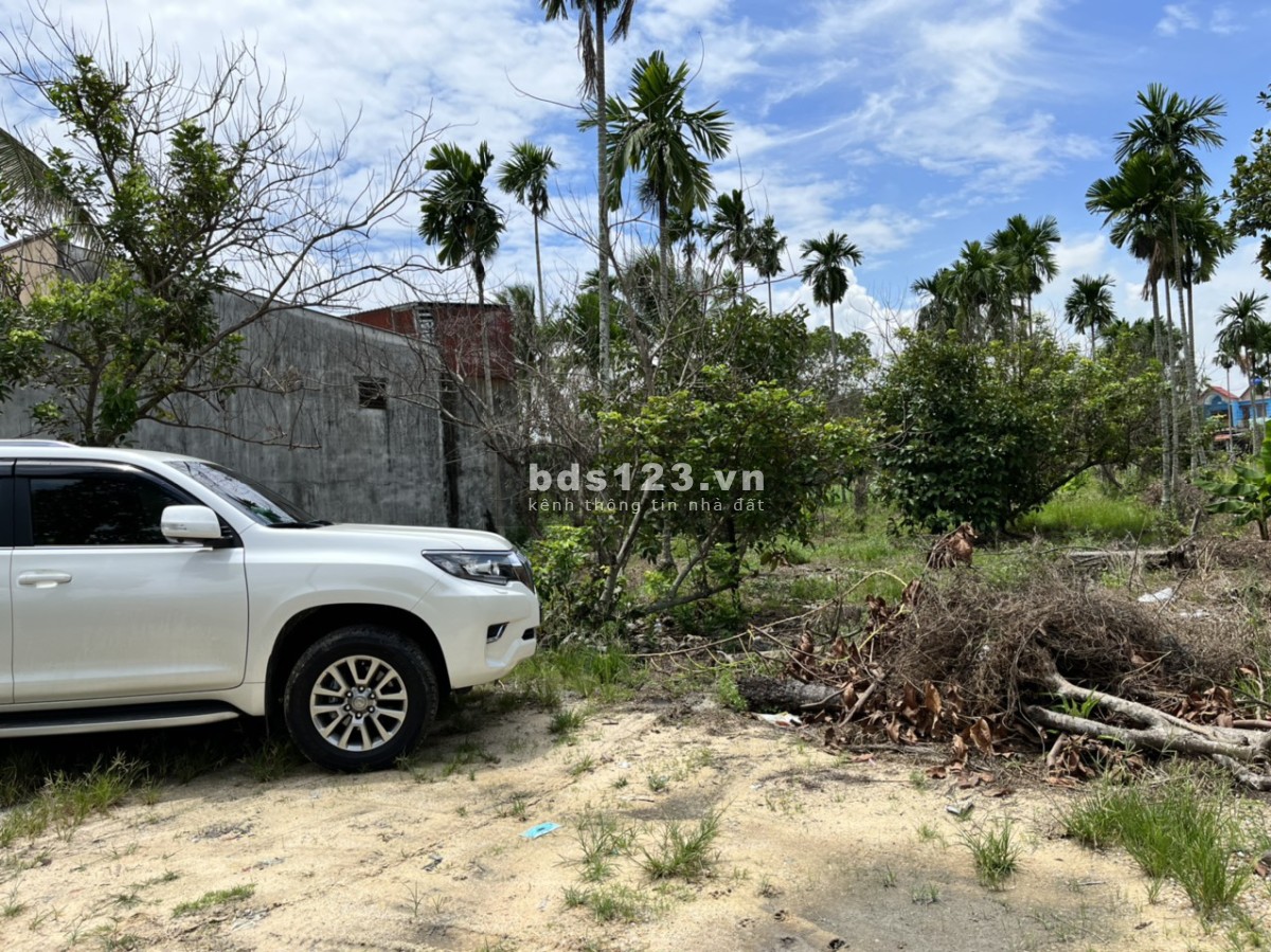 Bán 2897.9m2 gồm 2030.6m2 thổ cư cách đường Bình Mỹ - Củ Chi chỉ 200m. Giá 23 tỷ (Còn TL)
