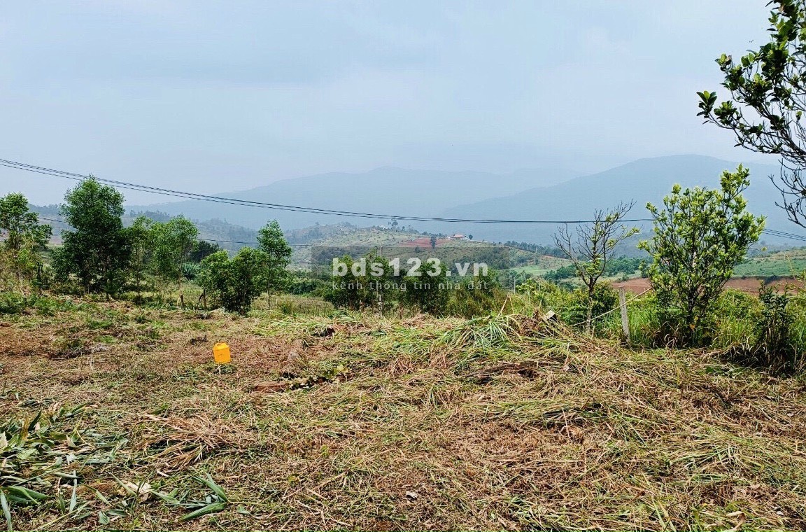 Bán Đất thổ cư TT Măng Đen, kon tum, 5500m2, giá rẻ