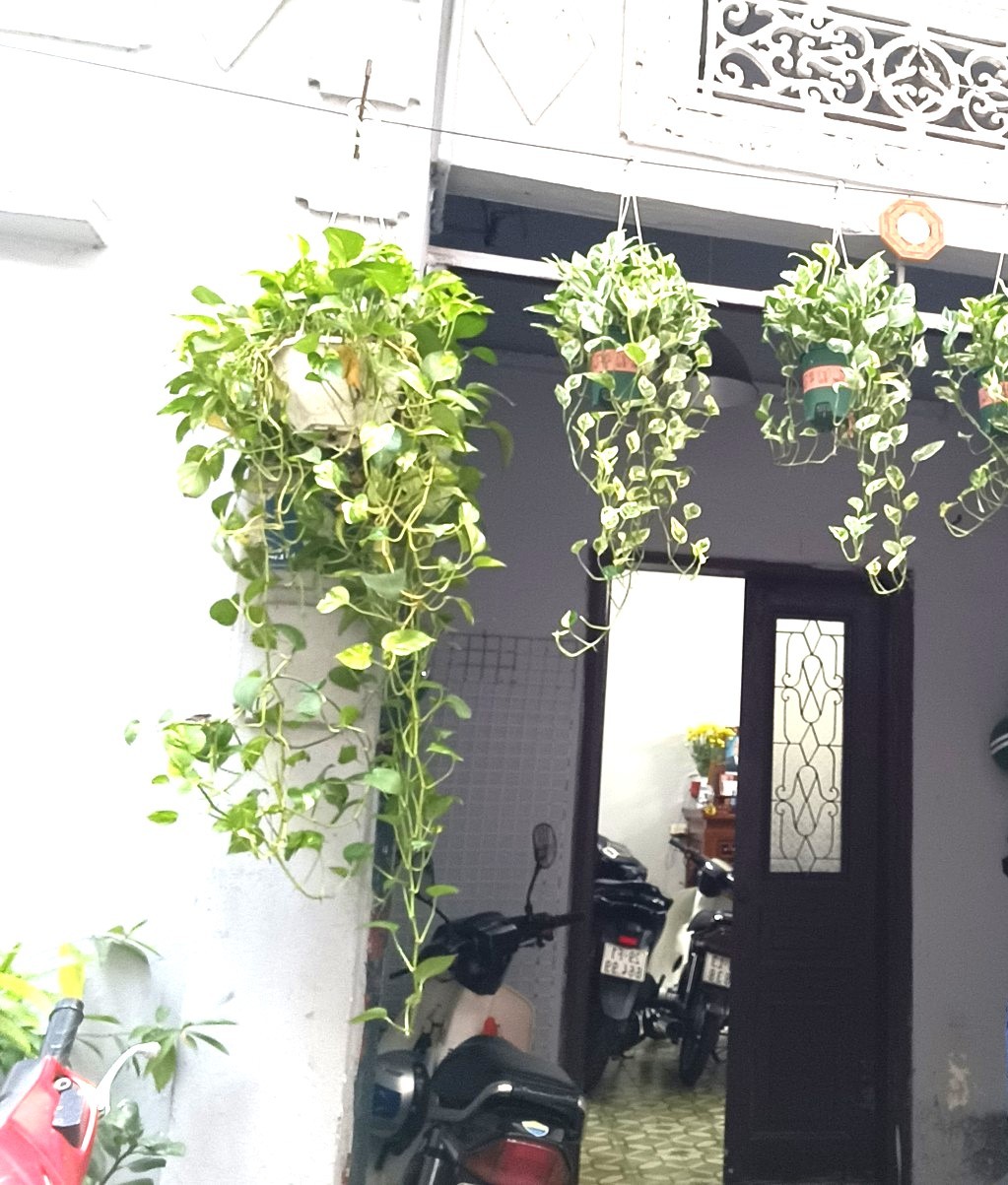 Tây Hồ giá rẻ hiếm có – 109M hơn 11 tỷ
