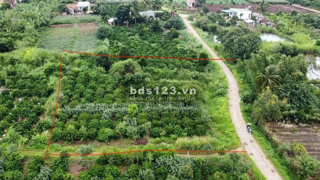 Chính chủ Cần bán lô đất tại thôn 2, Xã Xuân Phú, Ea Kar, Đắk Lắk
