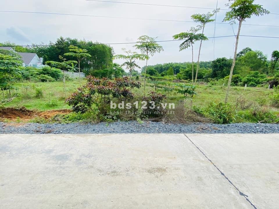 Ngộp căt lỗ 140m full thổ 1 sẹc Nguyễn Văn Khạ ngay TT Củ Chi giá chốt 1 ty280