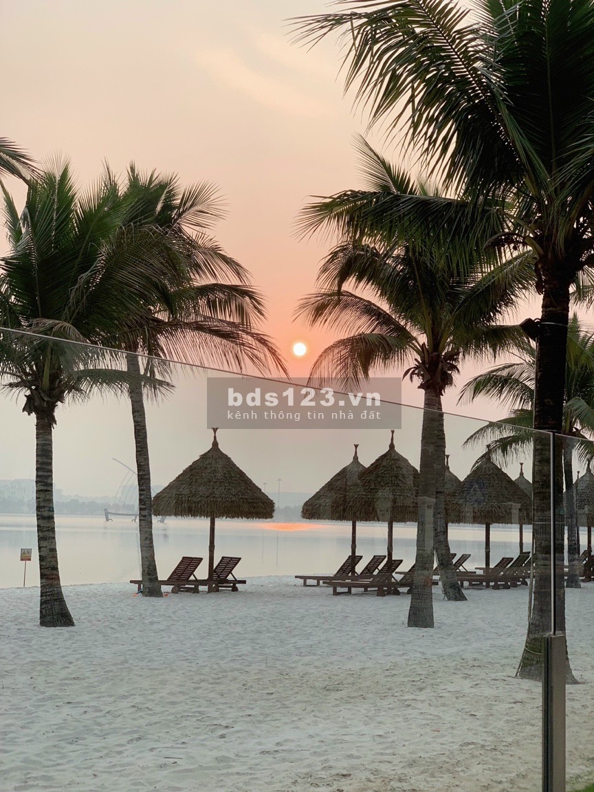 Rẻ nhất thị trường căn 2N1VS giá chỉ 1.650 triệu tầng trung, view cực thoáng tại VHOP LH 0974878790