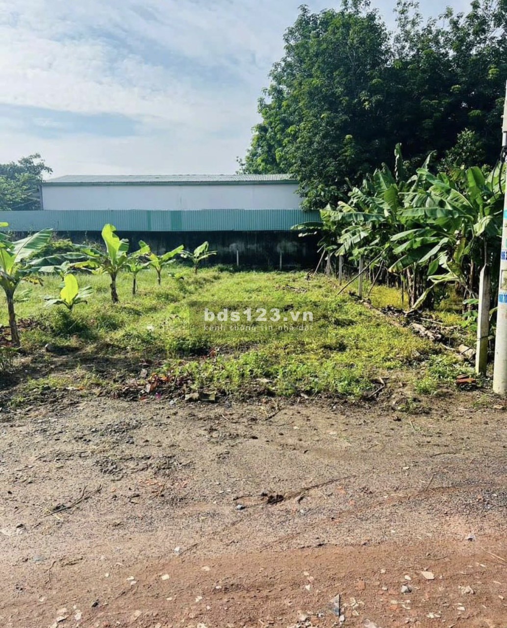 Cần ra gấp lô đất ngay thị trấn Củ Chi 133m2 full thổ cư đường 12m