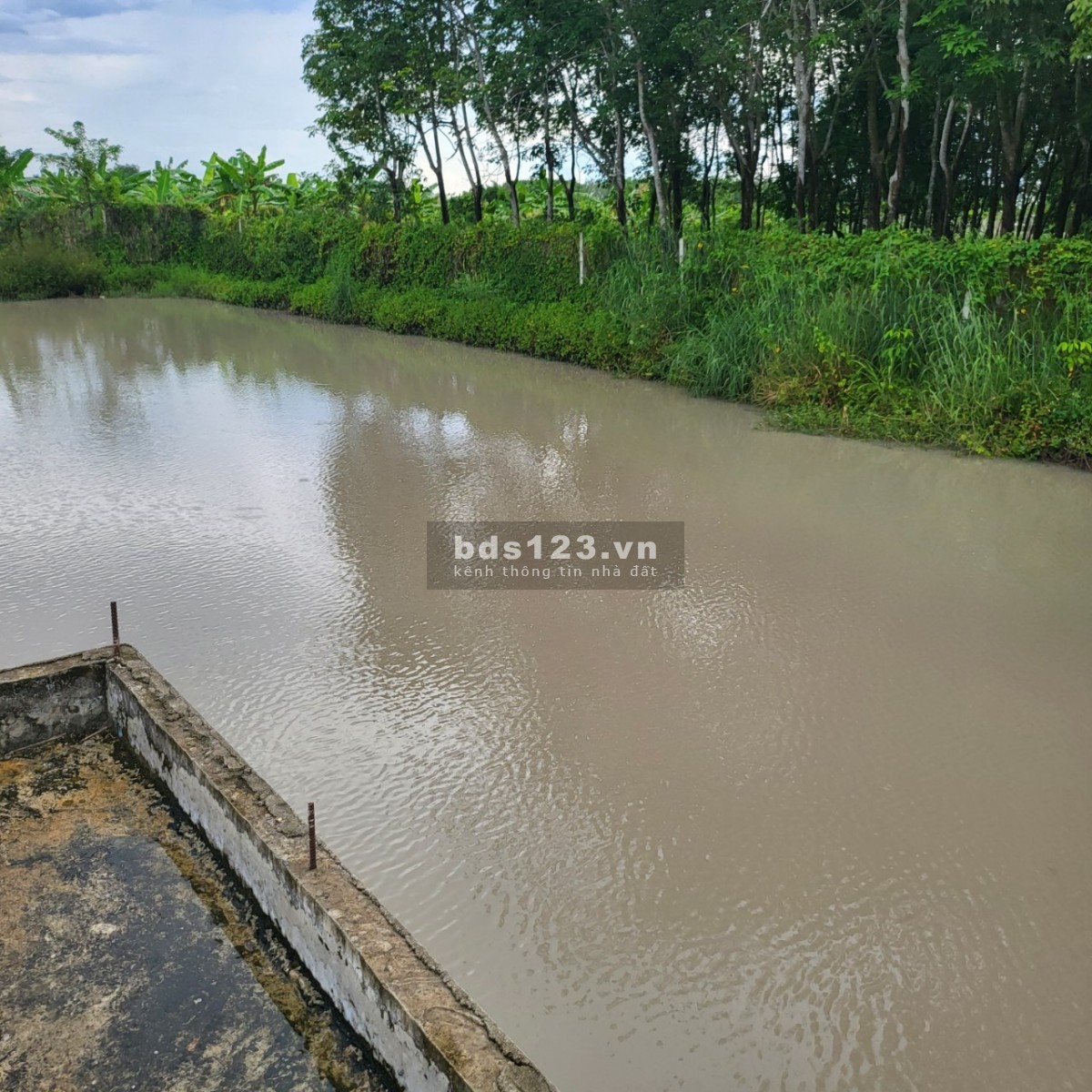 [Chính chủ] Cần bán gấp 11.000m2 đất tuyệt đẹp – view Núi Bà - Quy hoạch phủ hồng, pháp lý sạch sẽ.