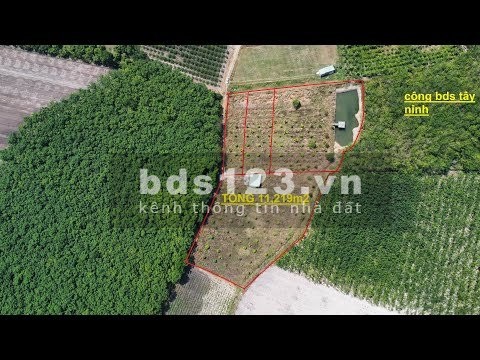 [Chính chủ] Cần bán gấp 11.000m2 đất tuyệt đẹp – view Núi Bà - Quy hoạch phủ hồng, pháp lý sạch sẽ.