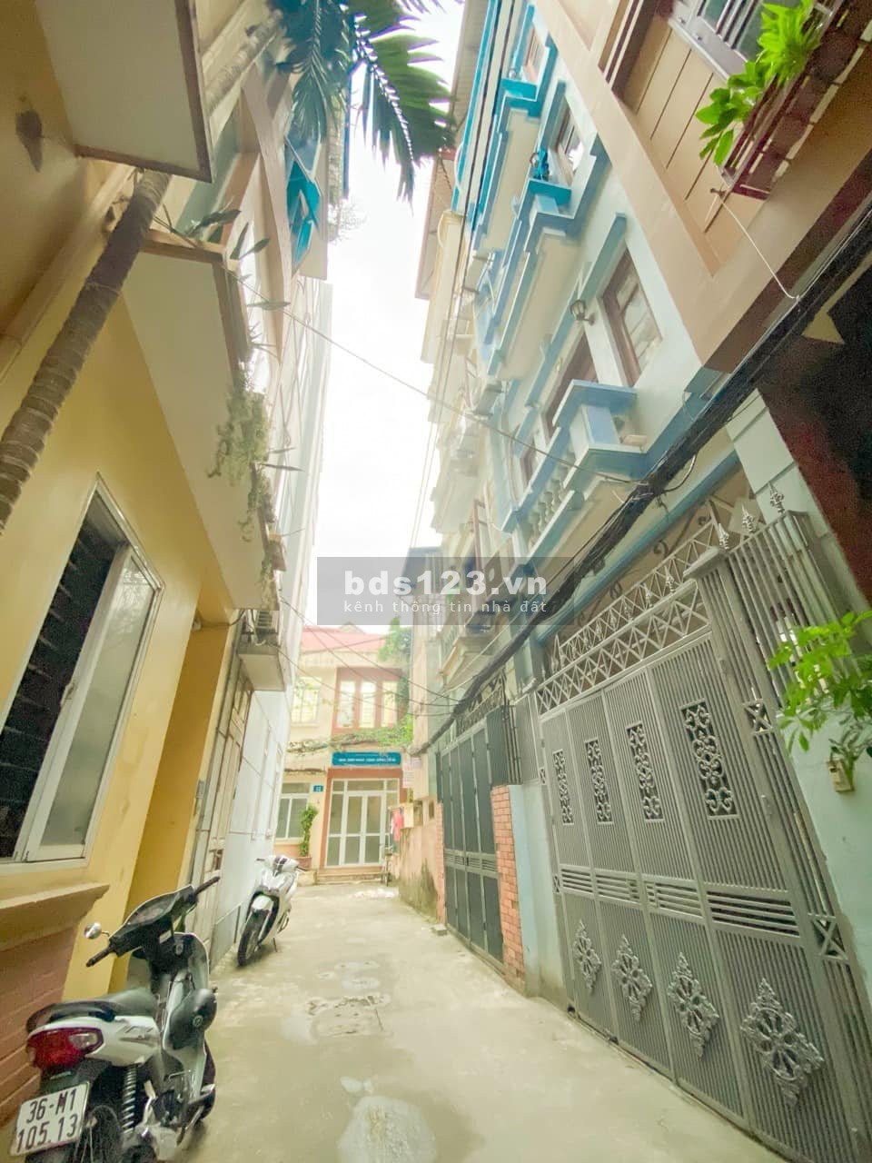 Bán nhà đất tặng nhà 5T, Nguyễn Khang, Cầu Giấy. Giá 6X