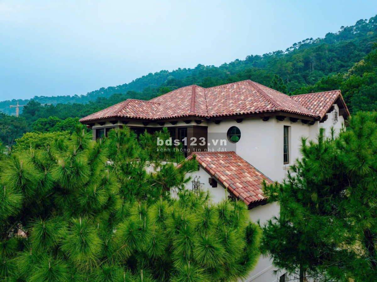 Trực tiếp CĐT Quỹ căn Độc quyền Biệt thự sổ đỏ lâu dài - Thanh Xuân Valley - Vĩnh Phúc