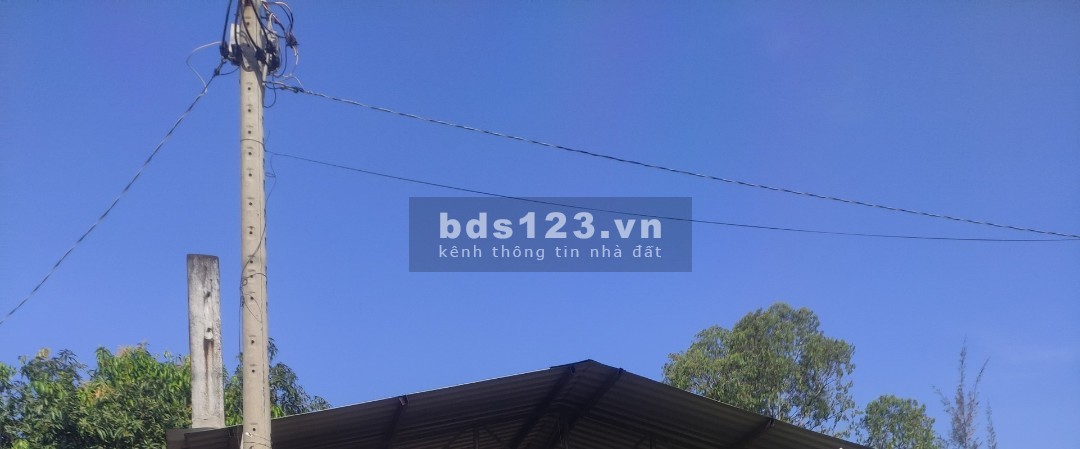 Cho thuê đất mặt tiền*550m2 mặt tiền Xa Lộ Hà Nội, phường Linh Trung, Quận Thủ Đức