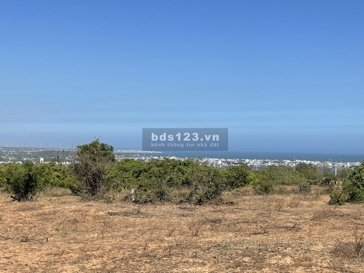Trời ơi! Sao lại có lô đất view biển đẹp mà rẻ như vậy? 3000m2 mà chỉ có 790 tr