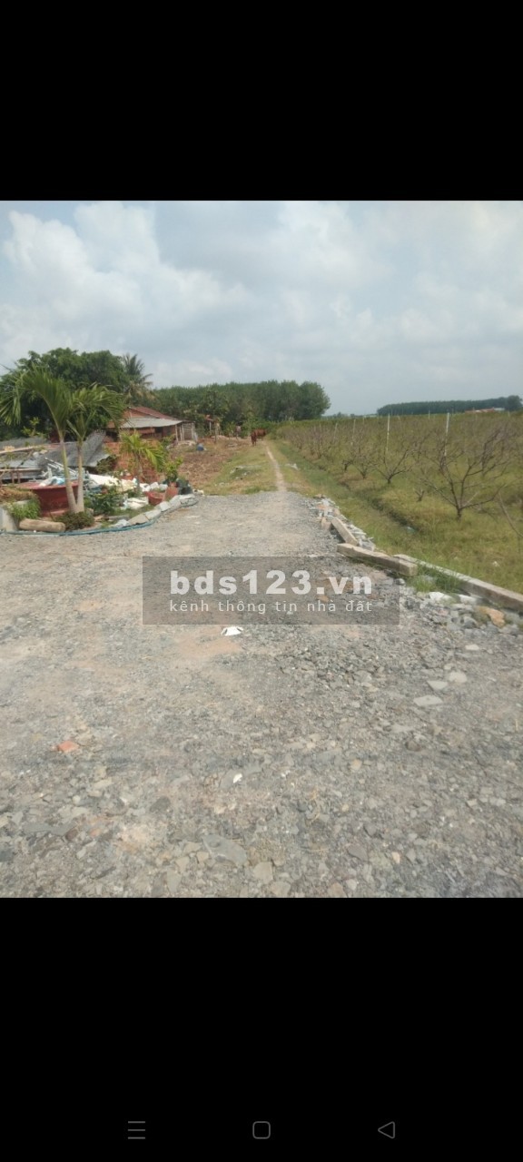 [CHÍNH CHỦ] Cần bán đất mặt tiền đường DT793 tại Tân Bình, Tây Ninh