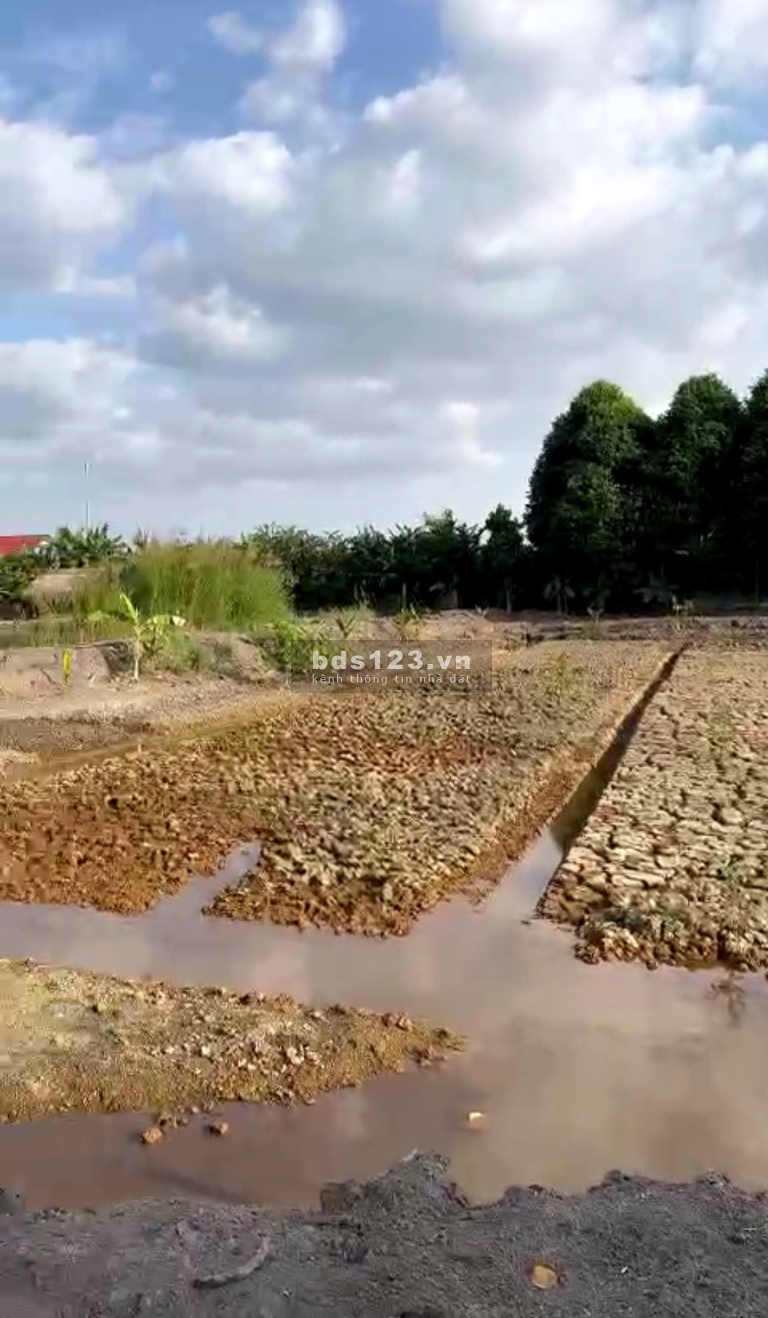 *Cho thuê đất*5000m2 - 13.000m2 gần đường Võ Văn Hát, phường Long Trường, Quận 9, TP.HCM