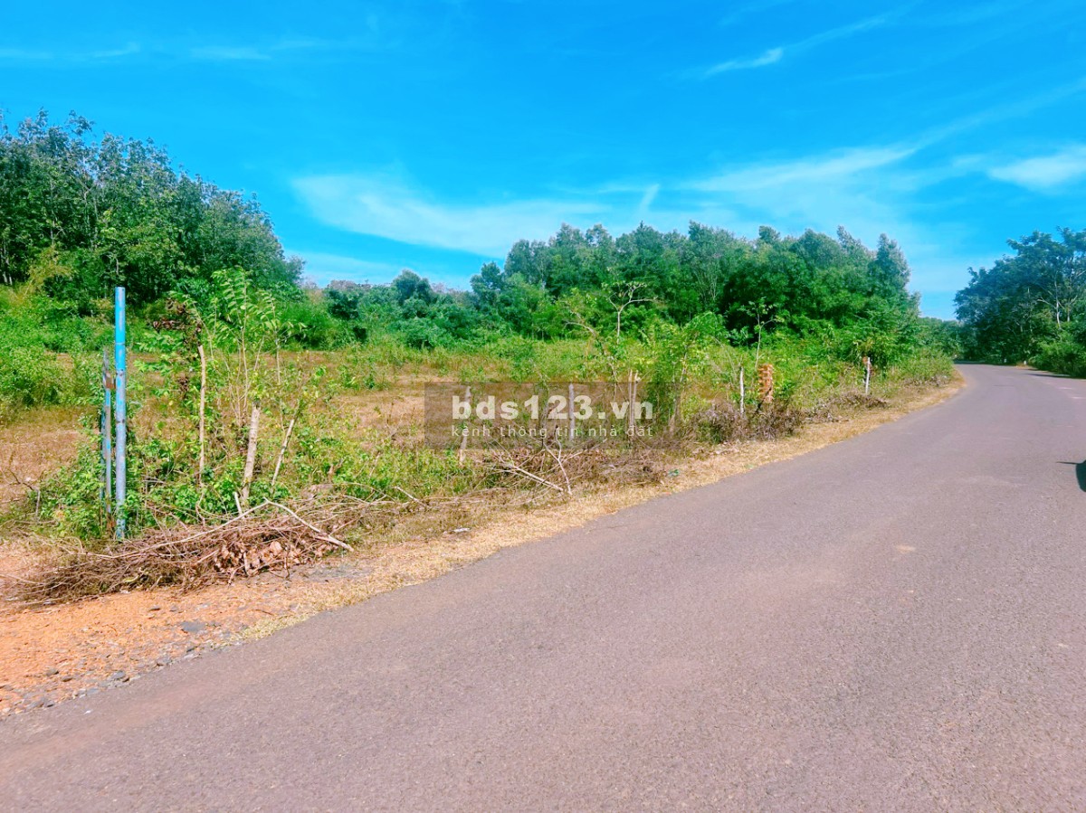Chính chủ cần bán ngộp An Khương, Hớn Quản, Bình Phước