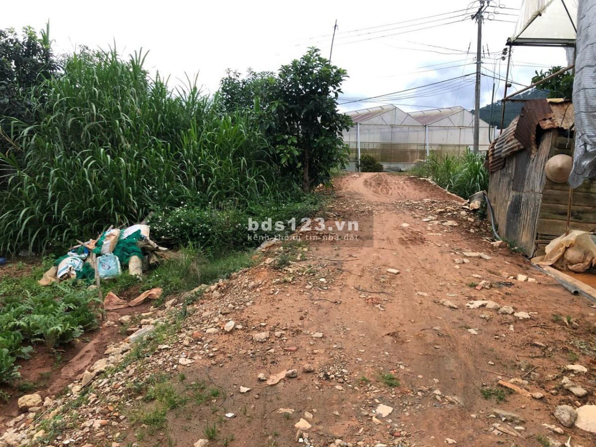 Bán đất mặt tiền chính chủ phường 12, TP Đà Lạt