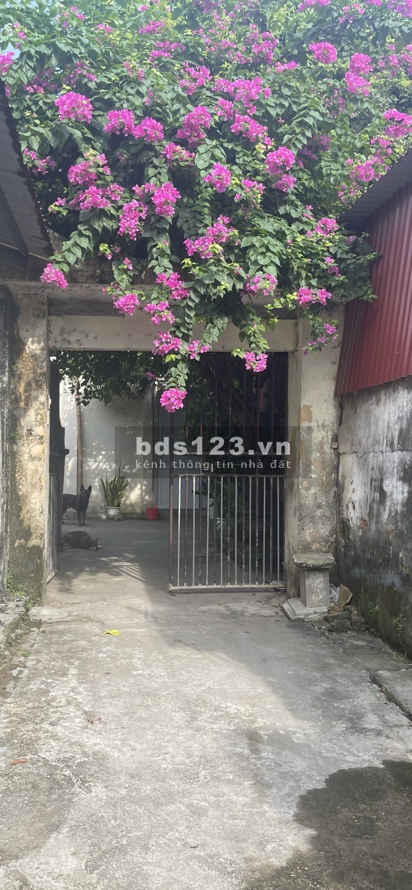 Chính chủ cần bán mảnh đất 82m2, tại thôn Ngô Xuyên, tt. Như Quỳnh